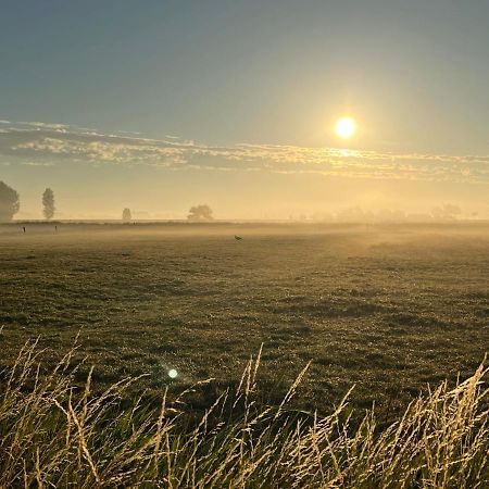Kamille Villa Middelkerke Eksteriør bilde