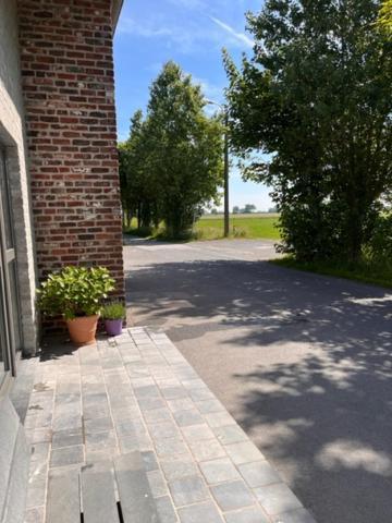Kamille Villa Middelkerke Eksteriør bilde